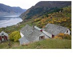 Bruk ved Hardangerfjorden