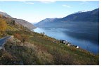 Gård ved Hardangerfjorden