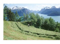 Vestnes