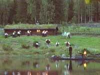 Maihaugen