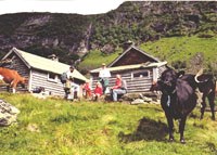 Streif, Flatekvålstølen, Foto: Eksingedalen bygdaråd