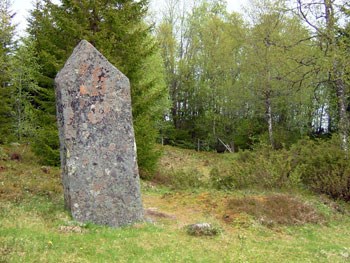 Fylkesnytt, Skeifeltet i Steinkjer kommune, Foto: Erik Stenvik