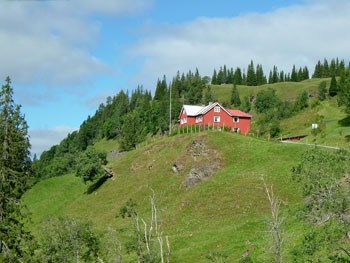 Fylkesnytt, Storlia i Leksvik, Foto: Erik Stenvik