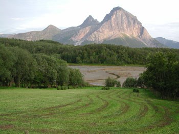 Fylkesnytt, Fra Rødøy kommune, Foto: gunnar Nygaard, FM Nordland