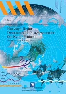 Download Report (pdf)