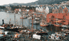 Vågen i Bergen.
