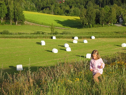 Barn i kulturlandskapet