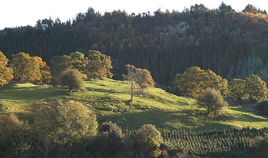 Beite Nord Hidle