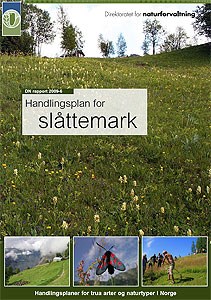 DN rapport Handlingsplan for slåttemark