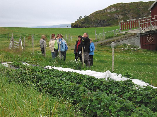Fylkesmannens landbruksavdeling  - Inn på tunet besøk i Neverfjord, Kvalsund kommune. Foto: Hans Magnus Sætra
