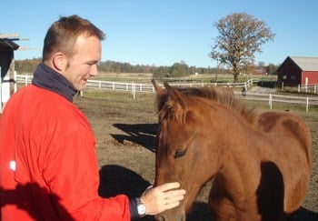 Hest. Foto: FM i Oslo og Akershus