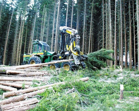 Hogstmaskin i arbeid i Stordal. Foto: John Hauger