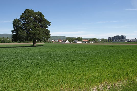 Jorder på Århus