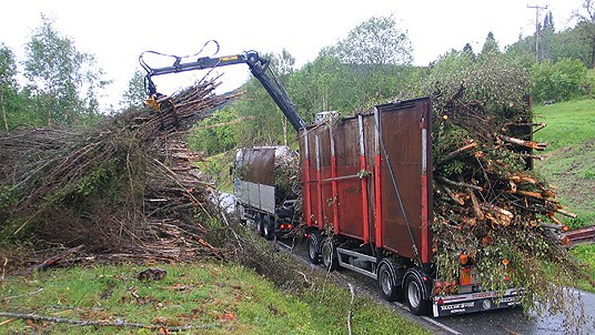 Transport av heiltrevirke frå vegkanthogst. Foto. Kåre Kristen Totlund, Møre og Romsdal fylke