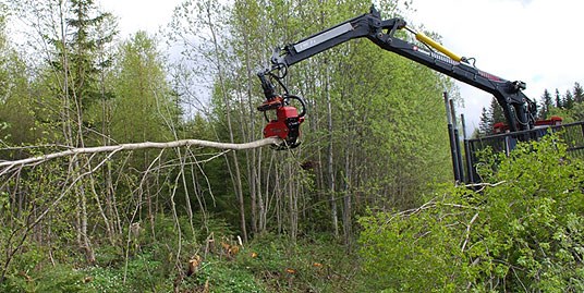 Skogsmaskin. Foto: Jon Sigurd Leine, FMLA Oppland