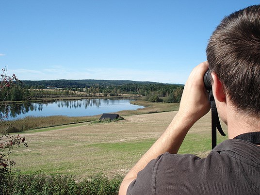 Fugletitting Gjølsjøen, Marker, Østfold. Foto Anne-Louise Daa