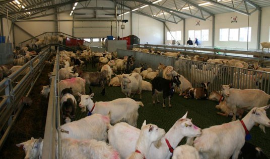 Sollia samdrift, Ringvassøy, Karlsøy kommune