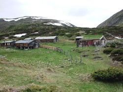 Seter. Foto: Trond Raddum