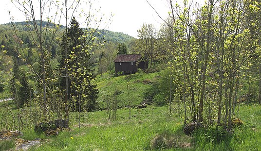 Gammelt kulturlandskap øst for Gjerpensdalen, Skien. Foto: Aud-Torild Stensrød