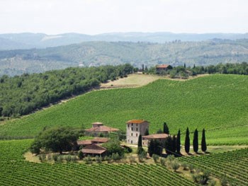 Gård i Toscana. Foto: Astraea Antal, LMD