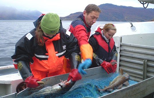 Fjæra og havet brukes også i Inn på tunet. Foto: Sylvi Gjerdrum
