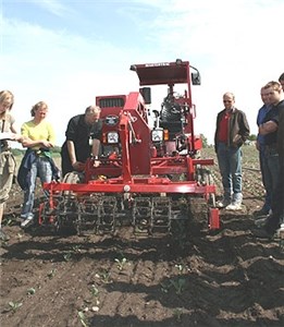 Økologisk grønnsaksproduksjon. Foto: Kari Bysveen