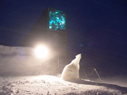 Poto: Mari Tefre/Svalbard Global Seed Vault
