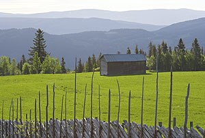 Landbruk: Innretningen av den generelle landbruks- og matpolitikken, og føringene som legges gjennom de årlige jordbruksoppgjørene, har stor betydning for utviklingen i fjellområdene. Foto: Bård Løken, Samfoto