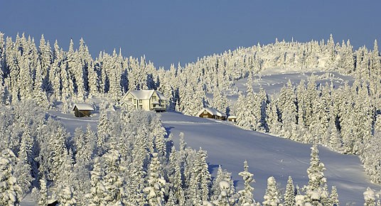 Småbruk i vinterskog