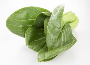 Mini Pac Choy