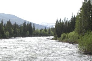 FAO: Statsledere fra 18 land har vært samlet i FNs hovedkvarter i New York for å diskutere et internasjonalt samarbeid om klima og for å uttrykke støtten til REDD. Foto: LMD
