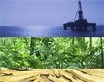 The Norwegian Government's strategy for cooperation between Brazil and Norway