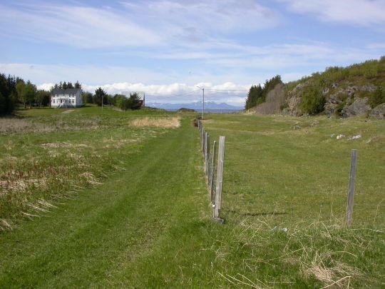 Her sees tydelig forskjellen på beitet og ikke-beitet land. 