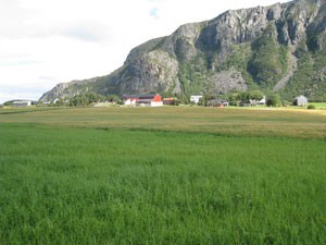 Gårdsbruk