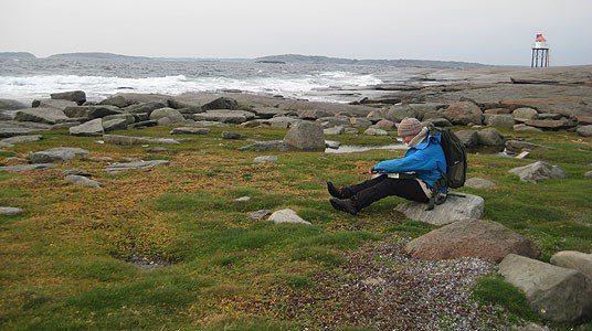 Beitekartlegging Leistein.