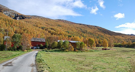 Landbruk i nord