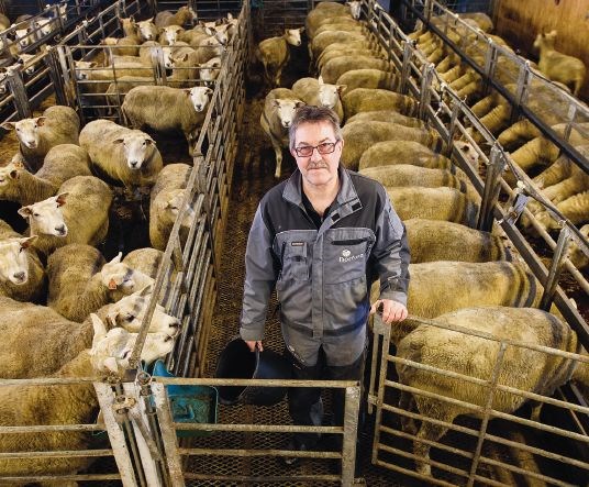 Ståle Lyng, 58 år, Ressem gård, Malm i Nord-Trøndelag 