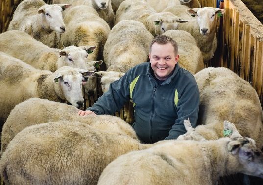 Jan Erik Nikolaisen, Gottesjord gård på Sørreisa i Troms